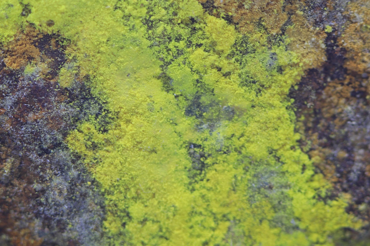 Na-Zippeit – Bild 7