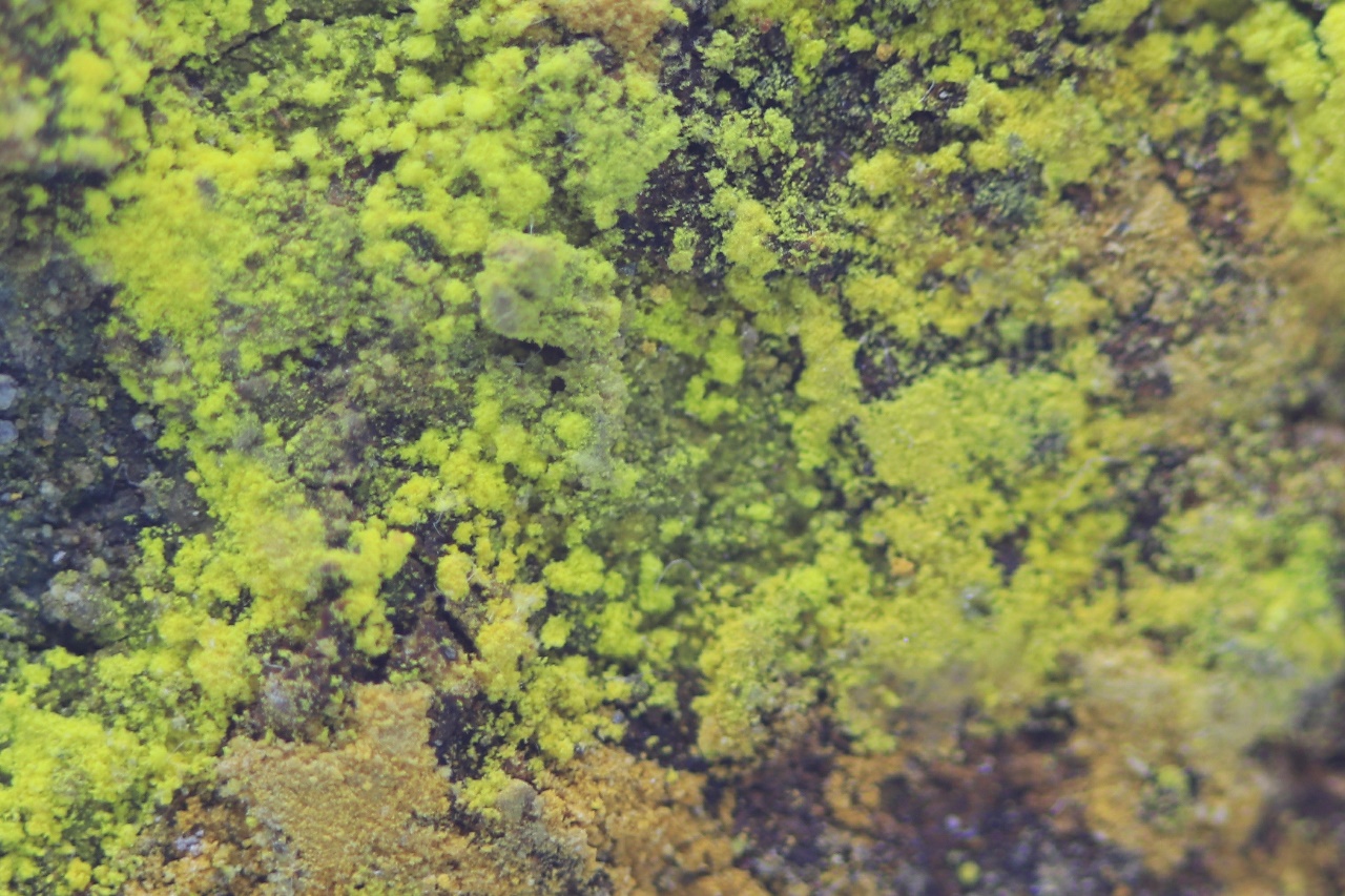 Na-Zippeit – Bild 6