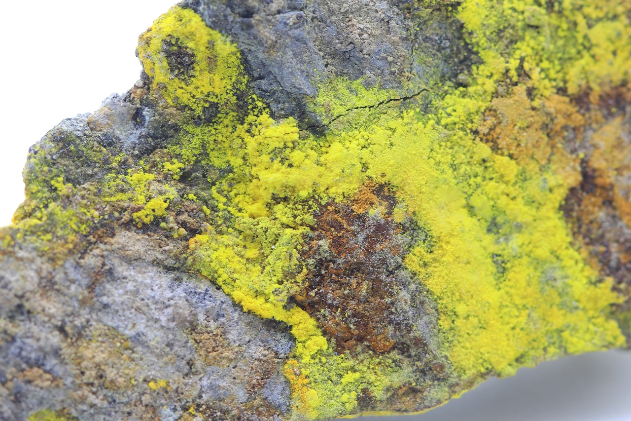 Na-Zippeit – Bild 4