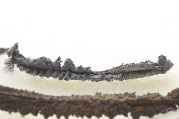 Silber – Bild 6