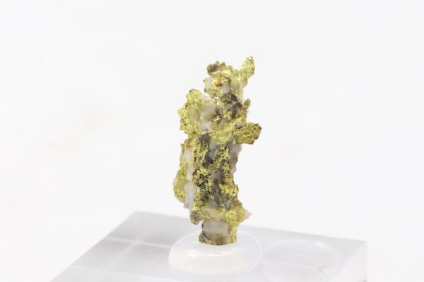 Gold – Bild 2