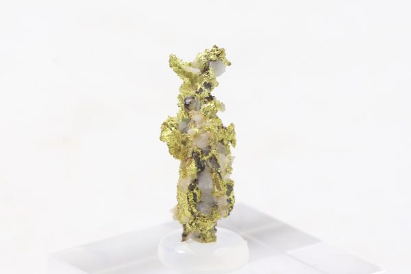 Gold – Bild 5