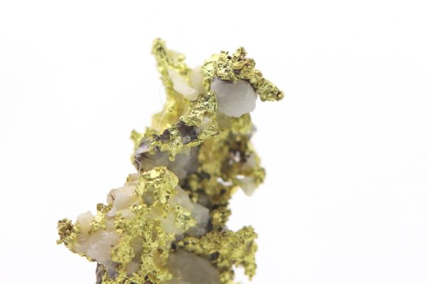 Gold – Bild 6