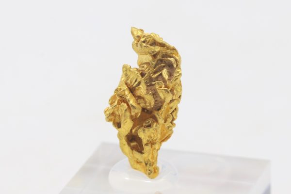 Gold – Bild 2