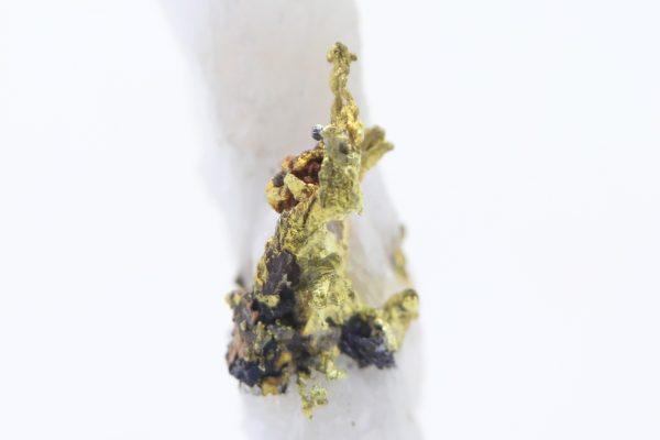 Gold – Bild 7