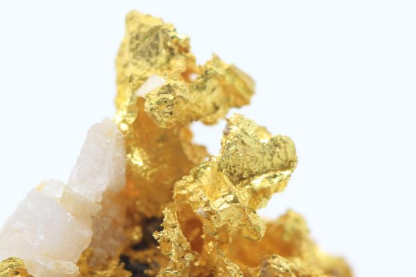 Gold – Bild 12