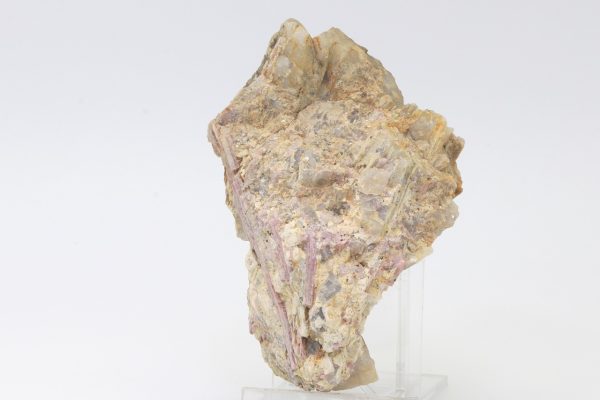 Elbait – Bild 2