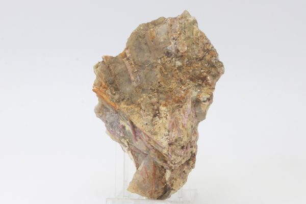 Elbait – Bild 5