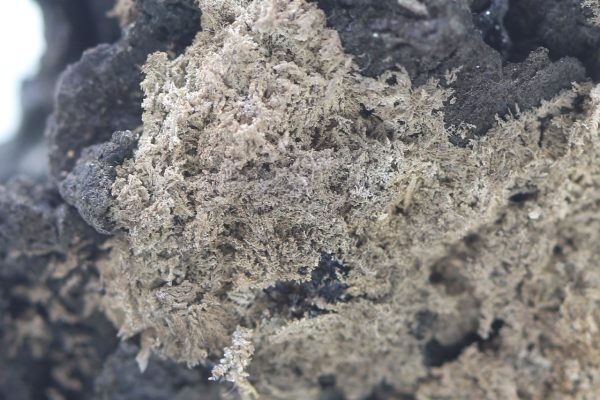 Silber – Bild 11