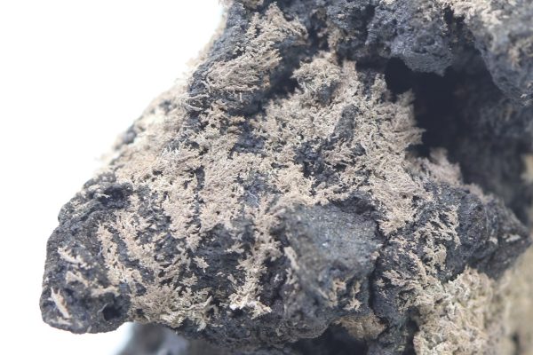 Silber – Bild 12