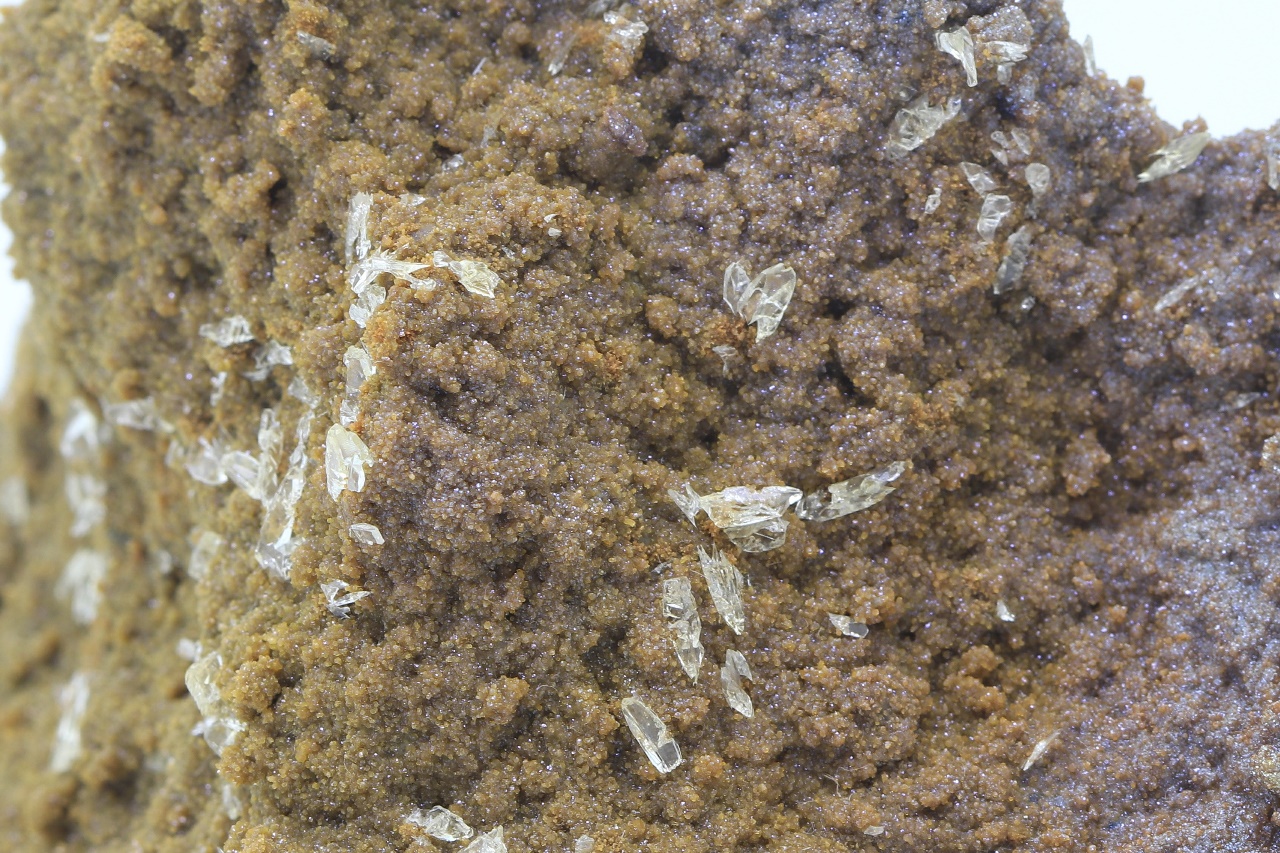 Whewellit, Siderit – Bild 8