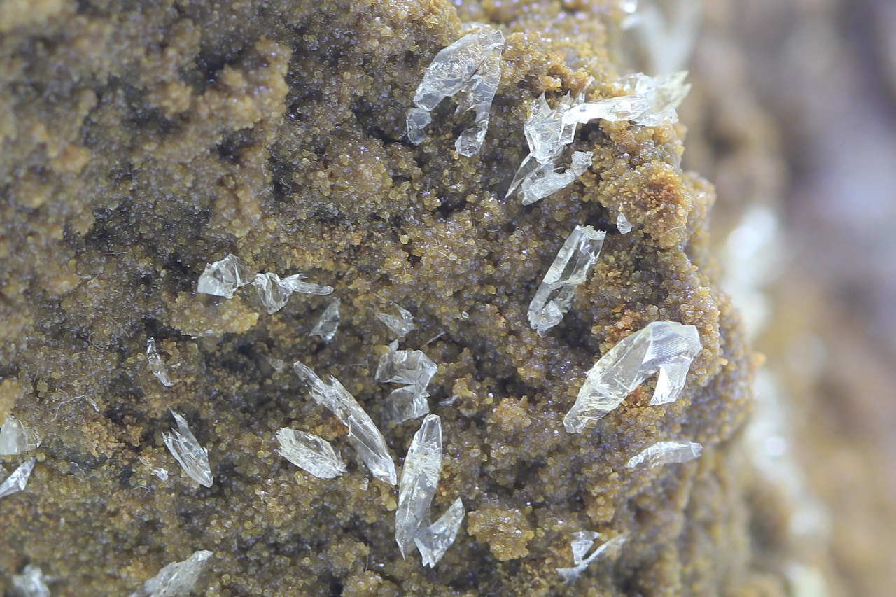 Whewellit, Siderit – Bild 9