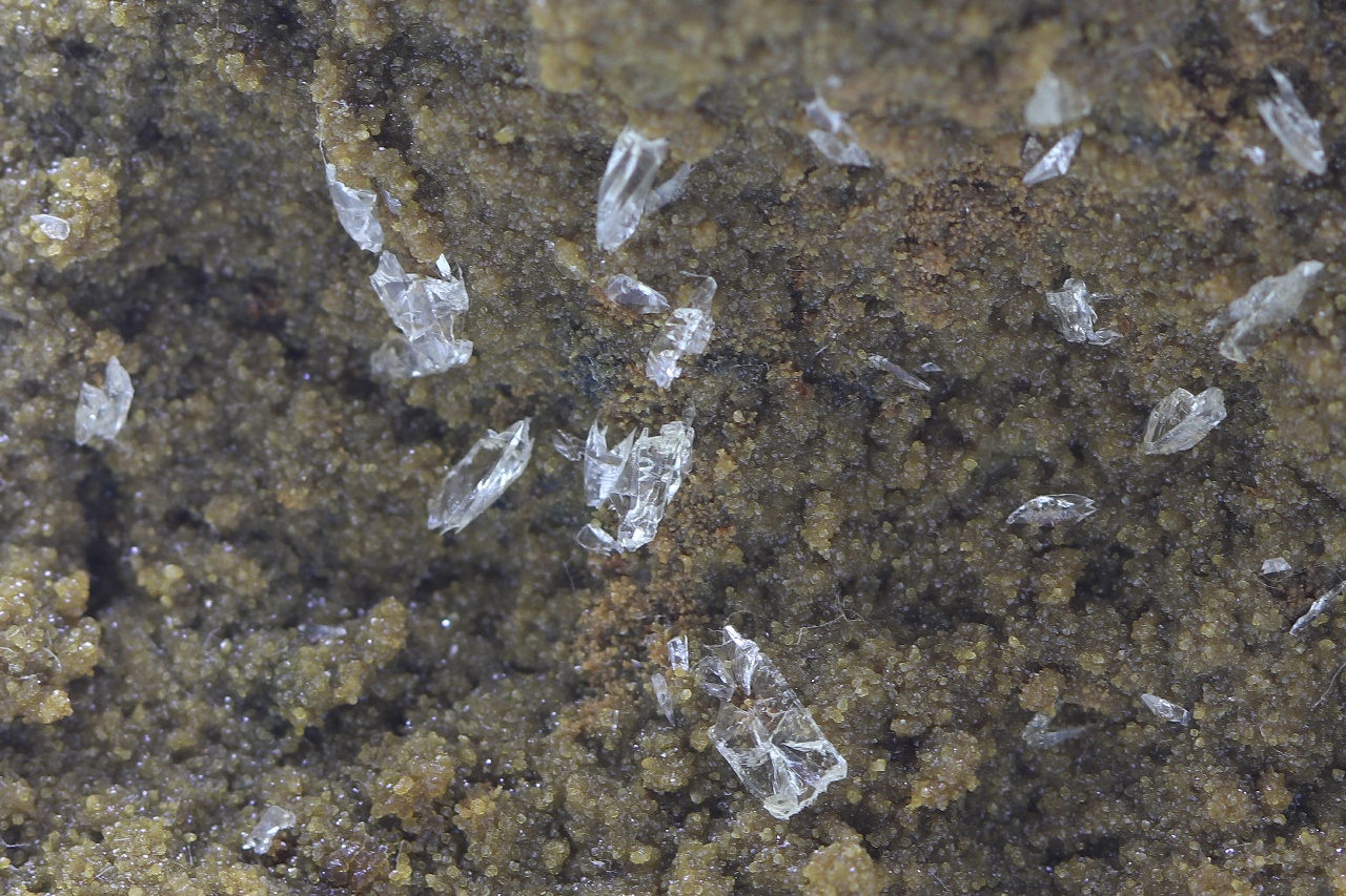 Whewellit, Siderit – Bild 10