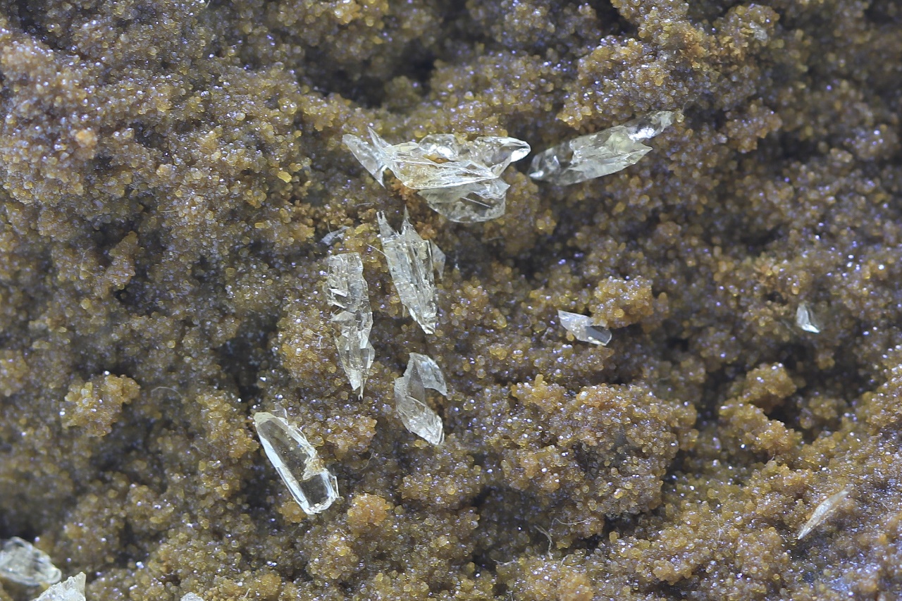 Whewellit, Siderit – Bild 11