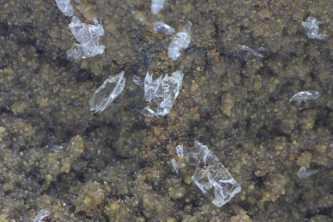 Whewellit, Siderit – Bild 13