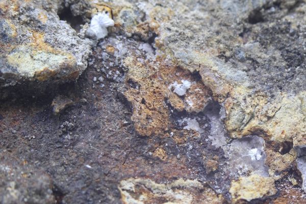 Sainfeldit – Bild 5