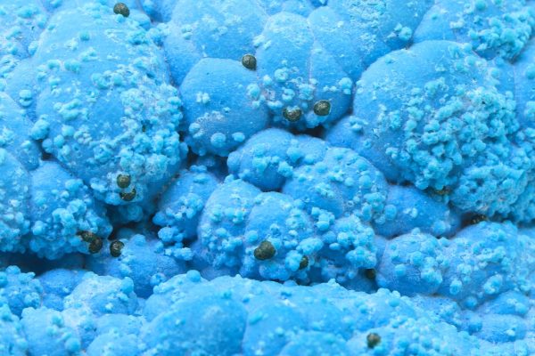 Chrysokoll – Bild 7