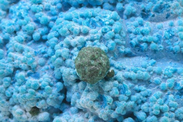 Chrysokoll – Bild 9