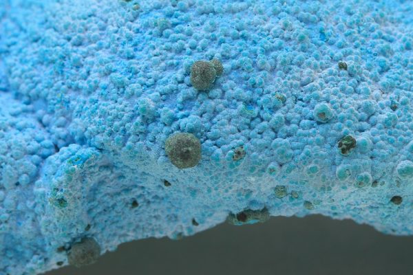 Chrysokoll – Bild 7