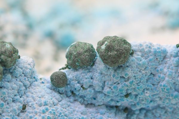 Chrysokoll – Bild 10