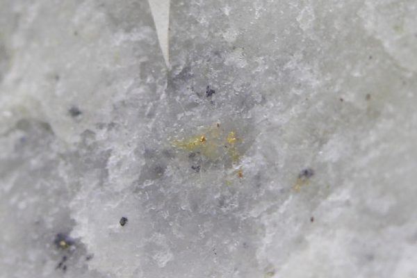 Gold – Bild 5