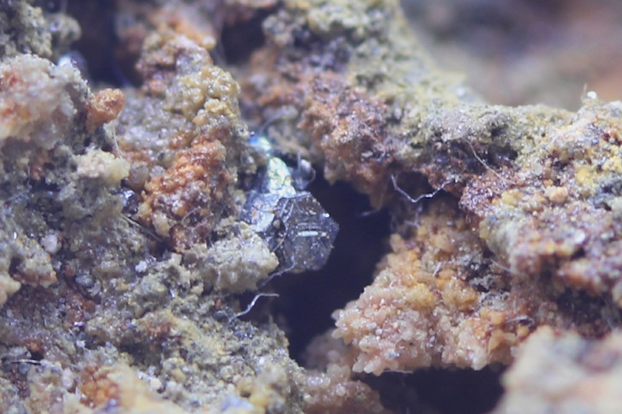 Stefanit – Bild 21