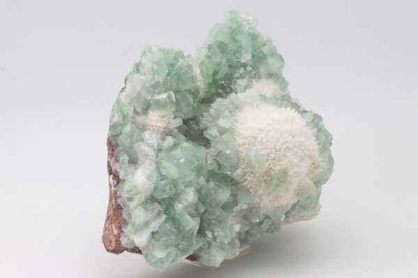 Apophyllit, Mesolith – Bild 2