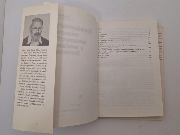 Gesteinsbildende Minerale von Metamorphiten in der aktuellen Literatur – Bild 2