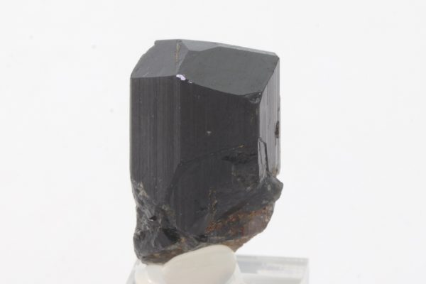 Liddicoatit – Bild 4