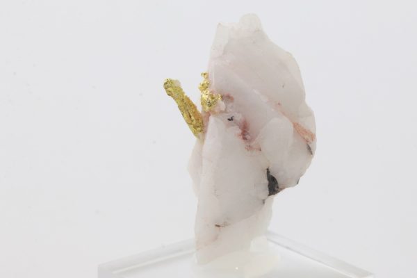 Gold – Bild 4
