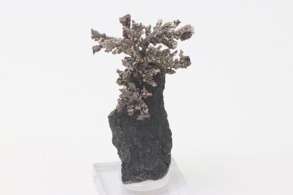 Silber – Bild 2