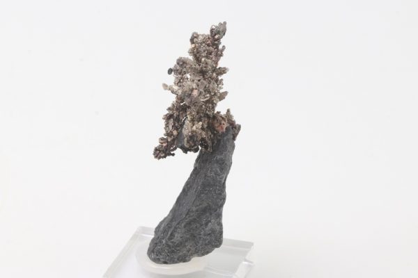 Silber – Bild 4