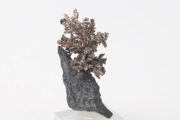 Silber – Bild 7