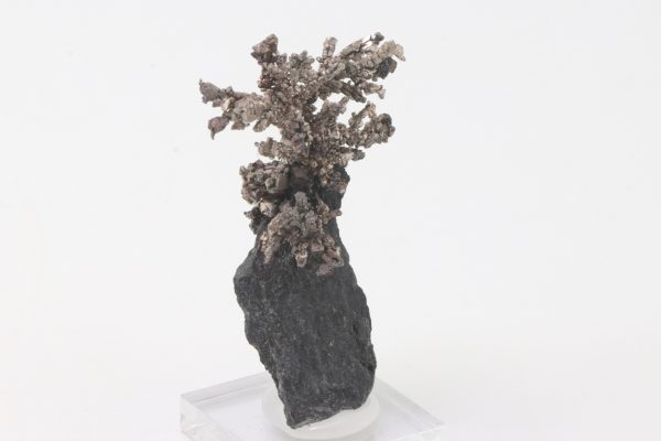 Silber – Bild 8