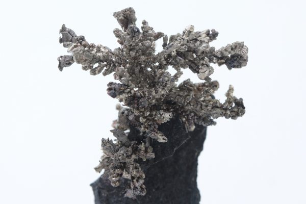 Silber