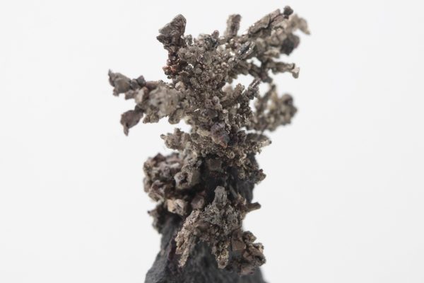 Silber – Bild 10