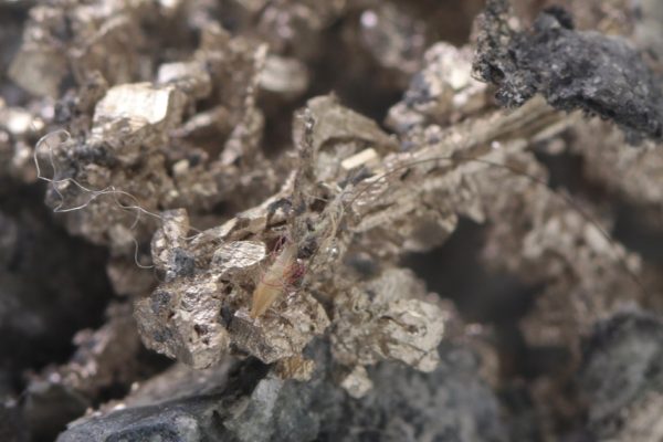 Silber – Bild 13
