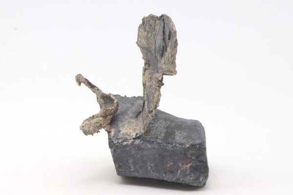 Silber – Bild 4