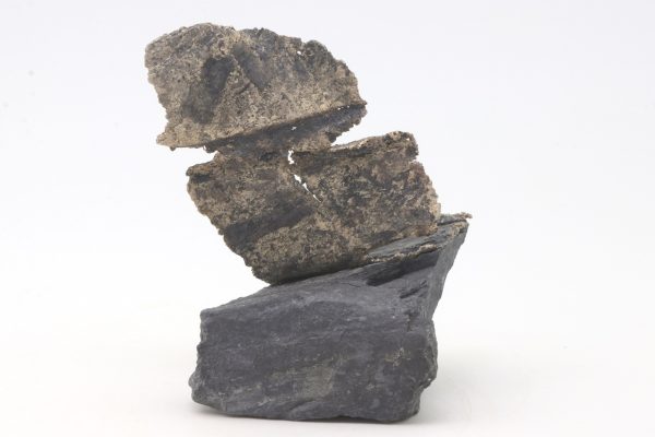 Silber – Bild 5