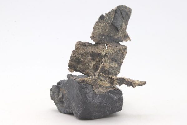 Silber – Bild 8