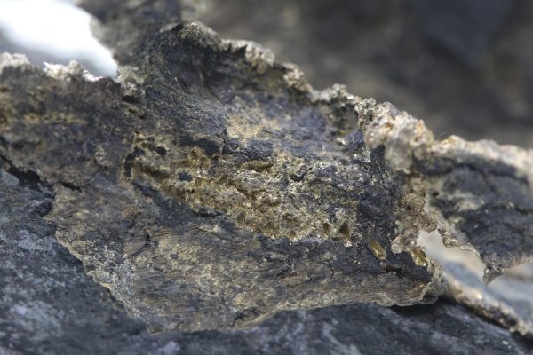 Silber – Bild 12