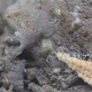 Fluorapatit