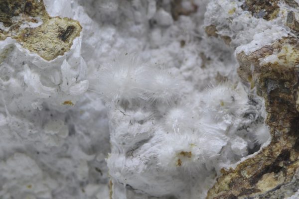 Pikropharmakolith – Bild 3