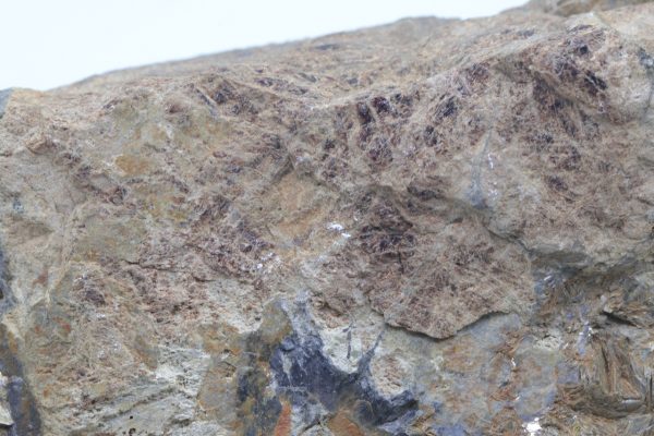 Triplit, Muskovit – Bild 7