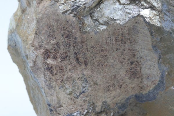 Triplit, Muskovit – Bild 11