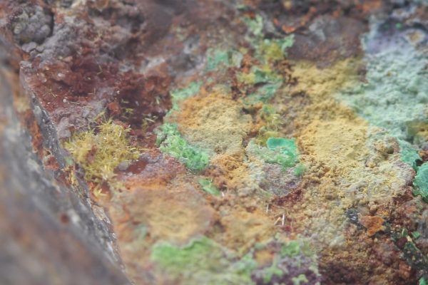 Parsonsit – Bild 4