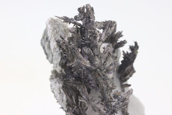 Silber – Bild 6