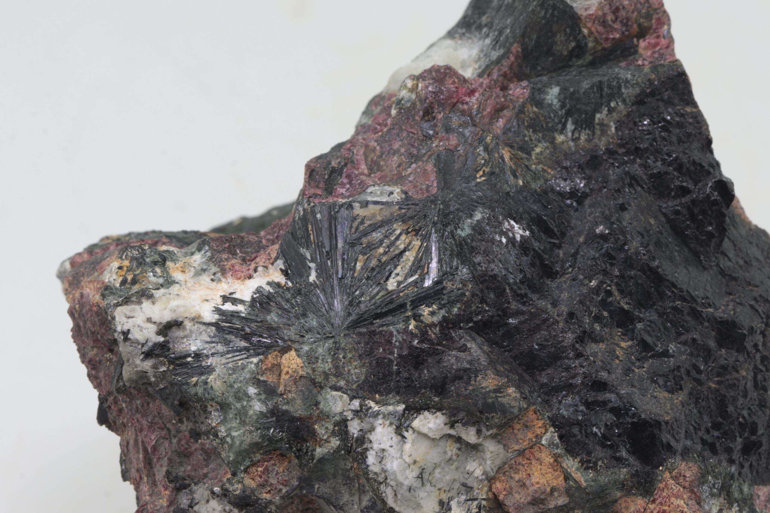 Eudialyt, Aegirin – Bild 5