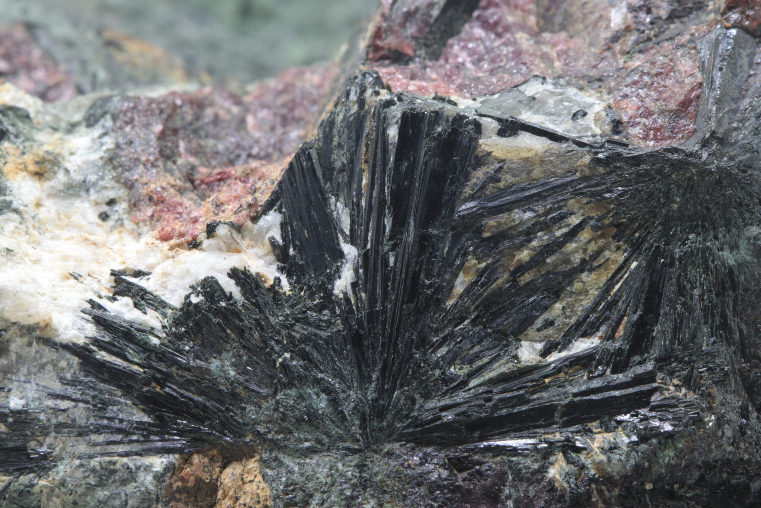 Eudialyt, Aegirin – Bild 6