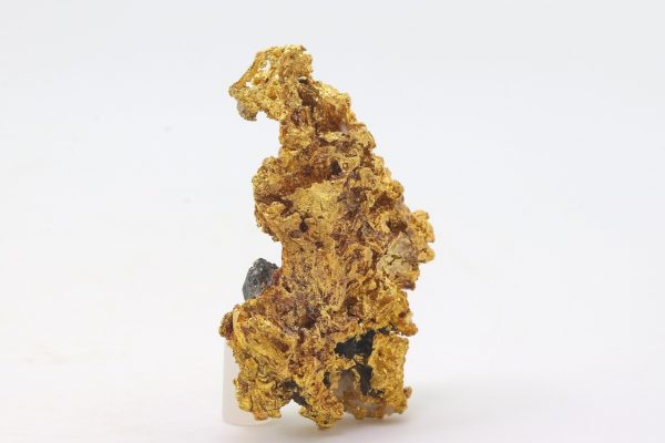 Gold – Bild 2